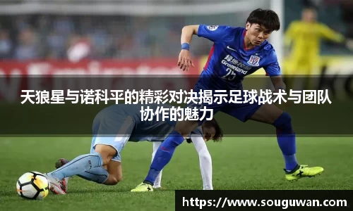 BANDAO半岛体育官方app