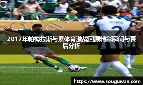 2017年帕梅拉斯与累体育激战回顾精彩瞬间与赛后分析