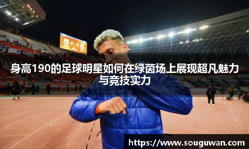 BANDAO半岛体育官方app