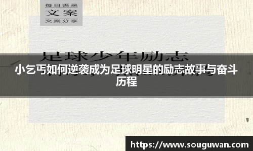 BANDAO半岛体育官网
